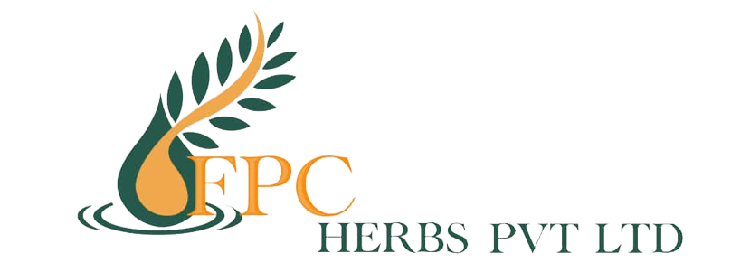 Herbs Logo